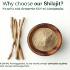 Primex™ Shilajit Gummies