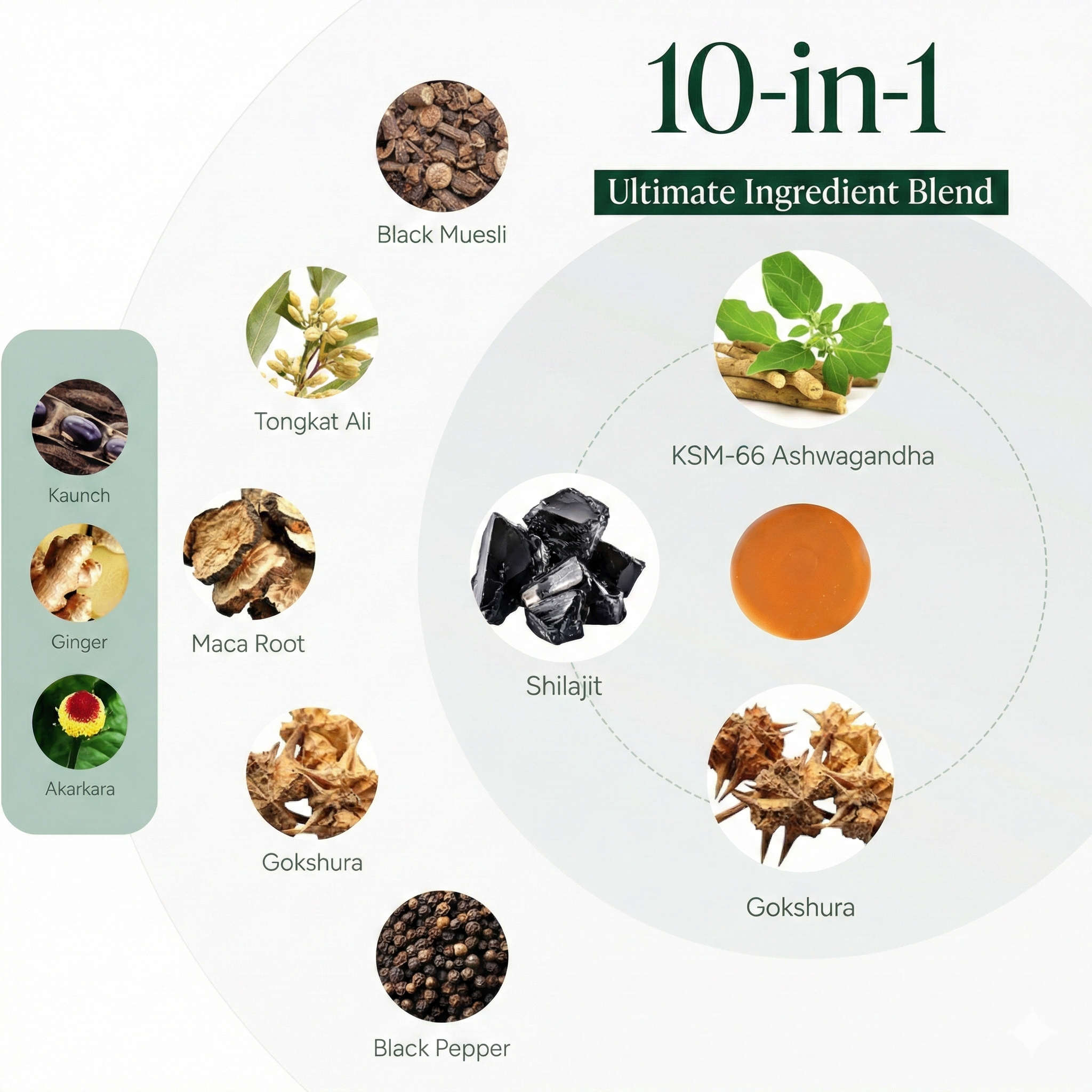 Primex™ Shilajit Gummies